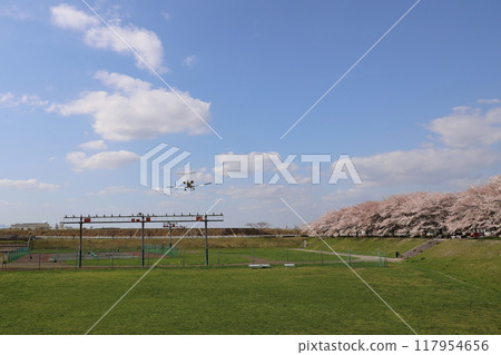 Cherry blossom trees and the airport Cherry blossom trees and the airport 117954656