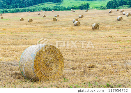 Summer in Hokkaido: northern land and barley rolls (Hokkaido image) Summer in Hokkaido: northern land and barley rolls (Hokkaido image) 117954732