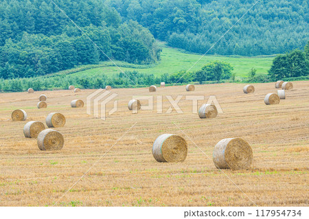 Summer in Hokkaido: northern land and barley rolls (Hokkaido image) Summer in Hokkaido: northern land and barley rolls (Hokkaido image) 117954734