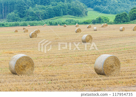 Summer in Hokkaido: northern land and barley rolls (Hokkaido image) Summer in Hokkaido: northern land and barley rolls (Hokkaido image) 117954735