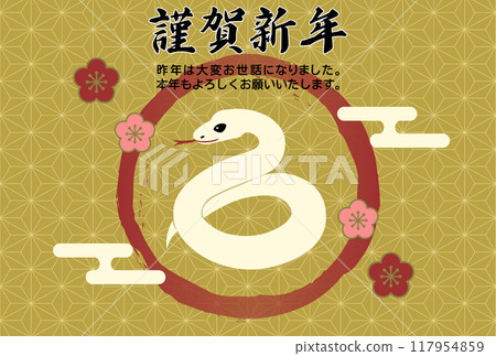 Snake, Snake, Gorgeous New Year's card illustration Snake, Snake, Gorgeous New Year's card illustration 117954859