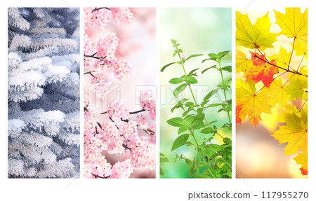 Four seasons of year. Set of vertical nature banners with winter, spring, summer and autumn scenes. Nature collage with seasonal scenics. Copy space for text 117955270