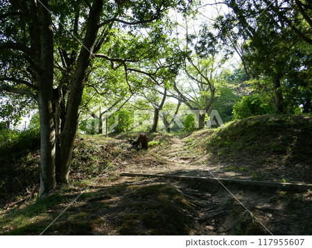 本能城跡(千葉縣茂原市) 本能城跡(千葉縣茂原市) 117955607