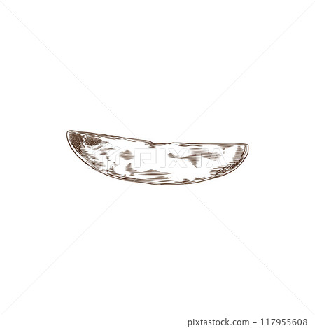 Vector illustration with a piece of sweet potato highlighted on a white background Vector illustration with a piece of sweet potato highlighted on a white background 117955608