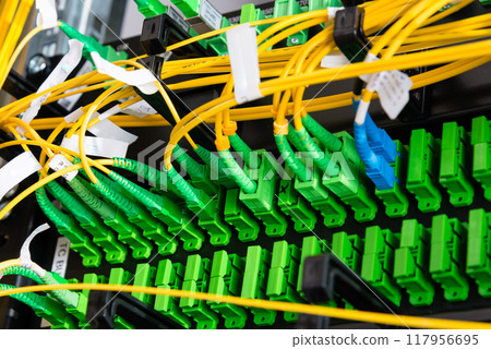 Fiber Optic cables connected to an optic ports - data switch in internet data center Fiber Optic cables connected to an optic ports - data switch in internet data center 117956695