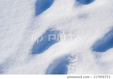 The texture of snow with traces on it. view from above. The texture of snow with traces on it. view from above. 117956753