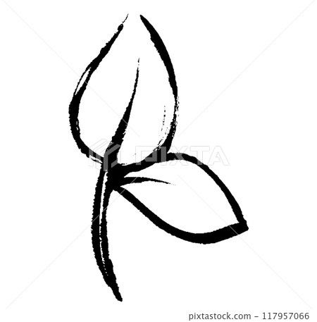 Monochrome line drawing of two leaves with a brush stroke Monochrome line drawing of two leaves with a brush stroke 117957066