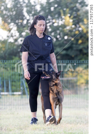 woman and malinois 117957365