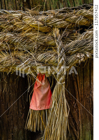 Shimenawa wrapped around a tree Shimenawa wrapped around a tree 117957412