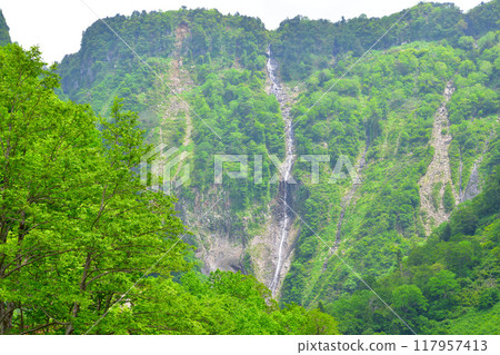 Tateyama Alder Falls Tateyama Alder Falls 117957413