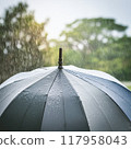 雨和傘 117958043