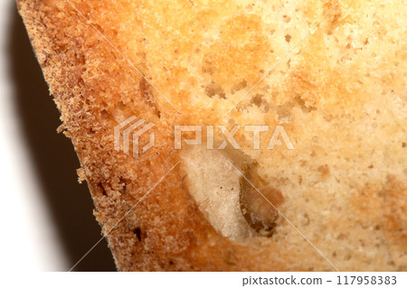Close Up of a Toasted Hme Made Bread Roll Showing Texture Close Up of a Toasted Hme Made Bread Roll Showing Texture 117958383