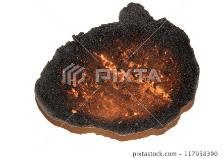 Very Burnt Bread Roll Toast Close Up Texture Close Up Very Burnt Bread Roll Toast Close Up Texture Close Up 117958390