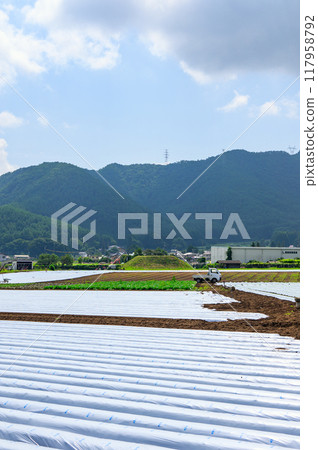 A carefully mulched field [Shiojiri City] 117958792