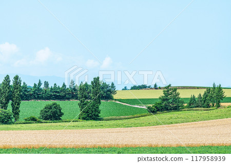 Biei Town, Hokkaido, Summer in Hokkaido, The beautiful patchwork-like pattern of Biei's land Biei Town, Hokkaido, Summer in Hokkaido, The beautiful patchwork-like pattern of Biei's land 117958939