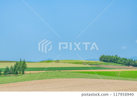 北海道美瑛町，夏天的北海道，美瑛之鄉，有著美麗的拼湊而成的圖案 117958940