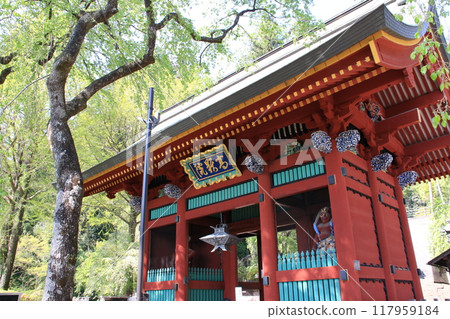 群馬縣富岡市妙義神社風景 117959184