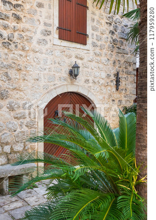 palm tree, house wall in town of Kotor, Montenegro 117959280