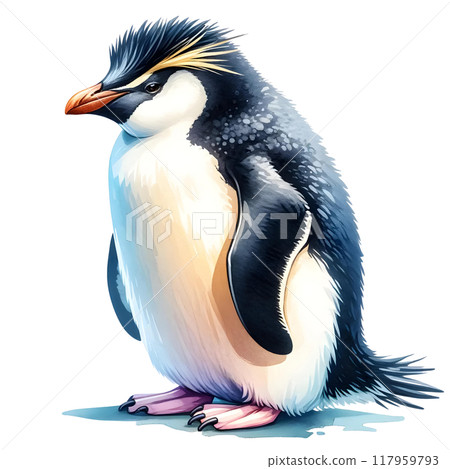 Rockhopper penguin Rockhopper penguin 117959793
