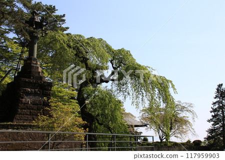 群馬縣富岡市妙義神社風景 117959903