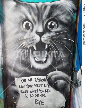 Street art graffiti in the former US listening station on the top of the Teufelsberg hill in the Grunewald locality of former West Berlin Street art graffiti in the former US listening station on the top of the Teufelsberg hill in the Grunewald locality of former West Berlin 117960677