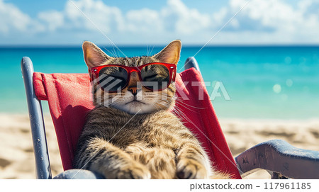 Cat relaxing on the beach wearing sunglasses 117961185
