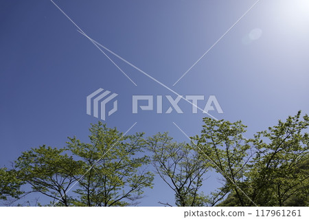 A straight contrail in the blue sky A straight contrail in the blue sky 117961261