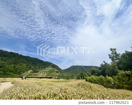 Summer countryside landscape and blue sky Summer countryside landscape and blue sky 117962021