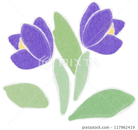 purple flower Shredded paper 117962419