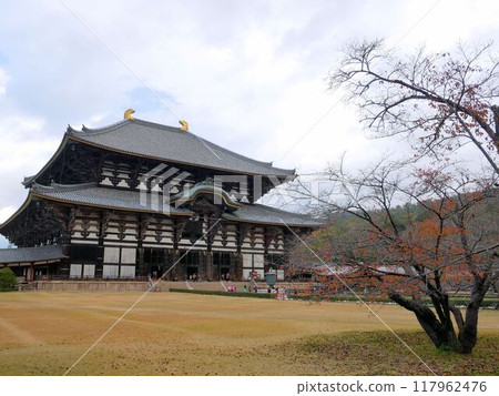 秋天的東大寺(奈良市) 秋天的東大寺(奈良市) 117962476