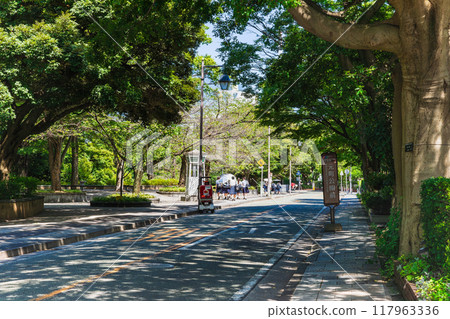 橫濱排列西洋建築的山手街道 117963336