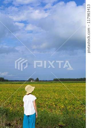 初夏,夏天,初秋,北海道,十勝平原,帶廣附近,四幌,四幌的田野,廣闊的田野,地平線,清爽的感覺,旅行的女孩 初夏,夏天,初秋,北海道,十勝平原,帶廣附近,四幌,四幌的田野,廣闊的田野,地平線,清爽的感覺,旅行的女孩 117963413