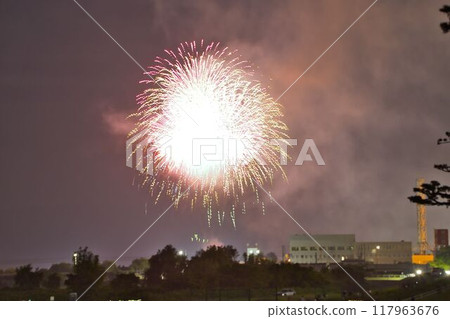 Fireworks, food stalls and crowds Fireworks, food stalls and crowds 117963676