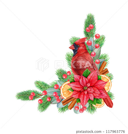 Winter season floral decor element with spices, fruit, conifer, eucalyptus. Watercolor vintage style painted illustration. Christmas decoration element with red cardinal bird on white background 117963776