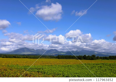 初夏、夏季、初秋、北海道、十勝平原、帶廣附近、上士幌、大雪山國立公園、少女之旅、大雪山 117963852