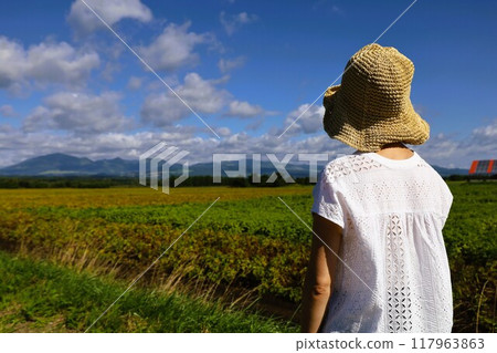 Early summer, summer, early autumn, Hokkaido, Tokachi Plain, near Obihiro, Kamishihoro, Daisetsuzan National Park, girls' trip, Mt. Daisetsu Early summer, summer, early autumn, Hokkaido, Tokachi Plain, near Obihiro, Kamishihoro, Daisetsuzan National Park, girls' trip, Mt. Daisetsu 117963863