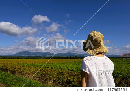 Early summer, summer, early autumn, Hokkaido, Tokachi Plain, near Obihiro, Kamishihoro, Daisetsuzan National Park, girls' trip, Mt. Daisetsu 117963864