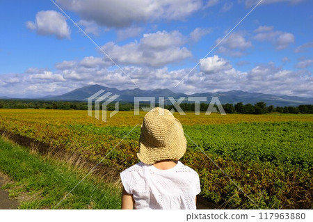 Early summer, summer, early autumn, Hokkaido, Tokachi Plain, near Obihiro, Kamishihoro, Daisetsuzan National Park, girls' trip, Mt. Daisetsu 117963880