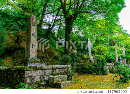 The grounds of Kasagidera Temple, Kyoto 117963903