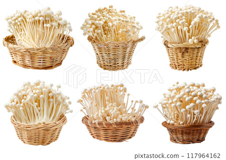 Six Baskets of White Enoki Mushrooms on a White Background Six Baskets of White Enoki Mushrooms on a White Background 117964162