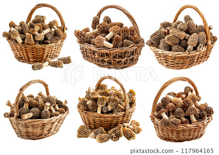 Six Wicker Baskets Filled with Morels 117964165