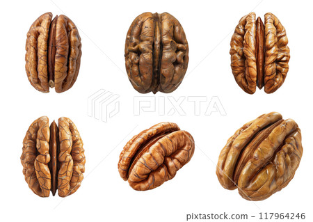Six Pecan Nuts in Various Positions Six Pecan Nuts in Various Positions 117964246