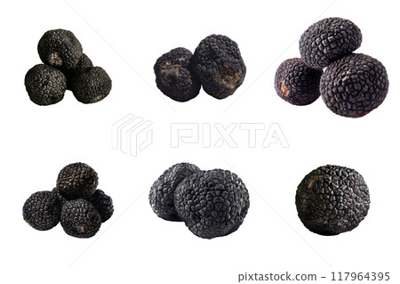 Close-up Images of Black Truffles in Various Arrangements 117964395