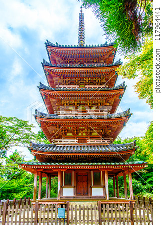 京都海十山寺的五層寶塔 117964441