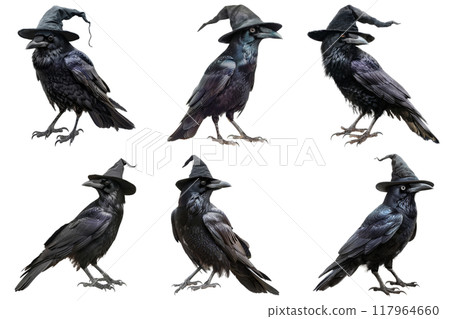 Six Black Crows Wearing Witch Hats 117964660
