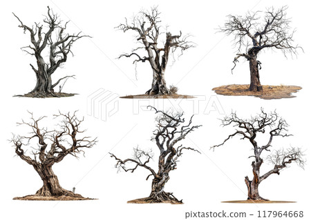 Six Bare Trees With Distorted Multicolored Backgrounds 117964668