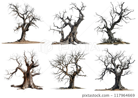 Six Images of Bare Trees Against Abstract Backgrounds 117964669