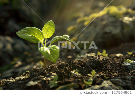 Rising green sprout leaf on wet ground. New life and Earth day concept. Macro shot. Generative AI 117964961