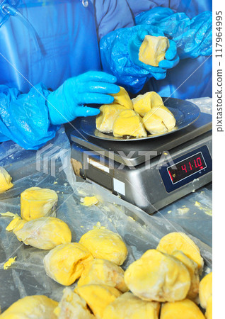 Production and packaging process of dried durian in an industrial factory Production and packaging process of dried durian in an industrial factory 117964995