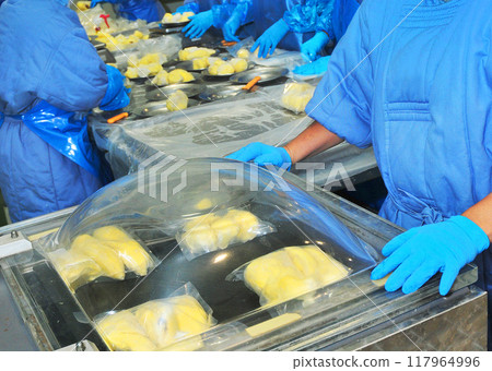 Frozen durian production process in an industrial factory Frozen durian production process in an industrial factory 117964996